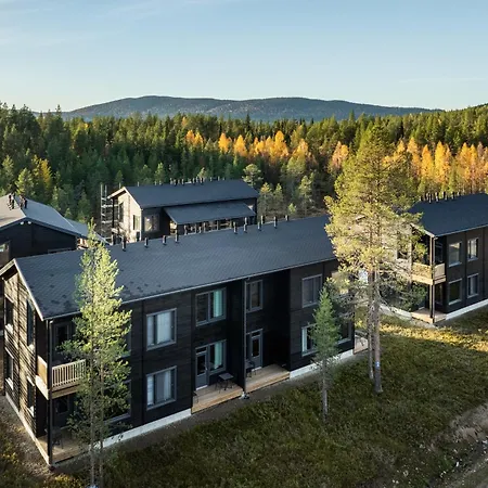 Levin Lyhty Bella B5 By Hilla