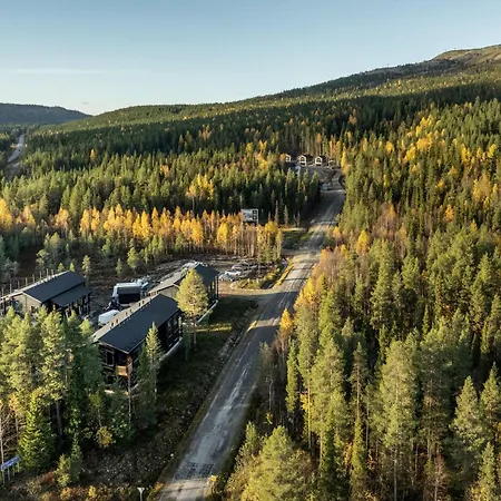 Levin Lyhty Bella B5 By Hilla